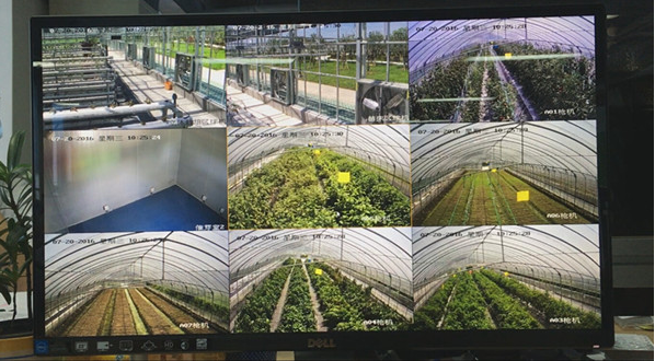 视频监控系统应用越来越广泛,不断助力安防行业增长