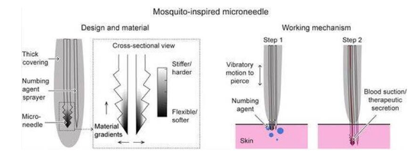由蚊子的吸血方式研发出无痛微针，想法虽好却还停留在理论层面