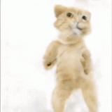 Pix2Pix与Unity 3D结合,打造专属小...