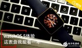 watchOS5上手体验 到底值不值得升