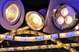 LED驱动器如何将RGBW LED变为声控智能照...