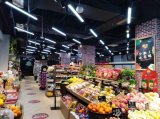 國星光電照明事業部推出全光譜LED照明燈具