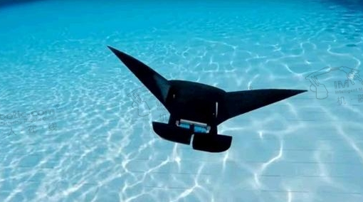 新加坡科学家创造出一种能在水下畅游10小时的模拟蝠鲼机器人