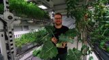 LED照明助力德國極地試種蔬菜獲得成功