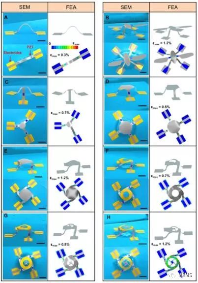 壓電材料結(jié)合屈曲誘導(dǎo)，讓3D MEMS微結(jié)構(gòu)“舞動(dòng)”起來(lái)