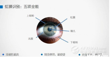 虹膜識別技術迎來了進入大眾化領域的契機