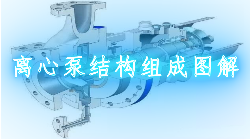 离心泵结构组成图解