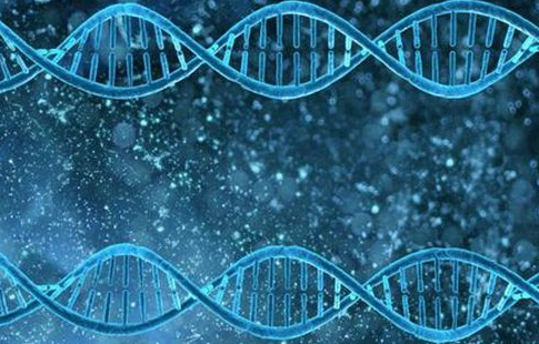 网络视频监控应用不断扩张 IT技术成为安防领域的...
