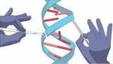 CRISPR-Cas9基因编辑技术貌似再次遭遇挑...