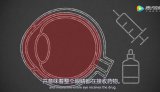 纳米送药机器人,仅头发宽度1/200靠电磁驱动