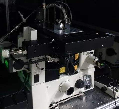 AI显微镜未来对各个应用领域的核心技术将提出更新...
