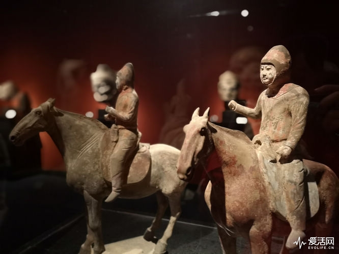 华为P20Pro可能真的是拍摄能力最强的手机