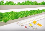 三星近期推出全新植物照明LED产品系列