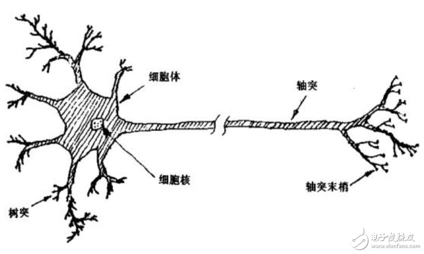 神经网络是什么