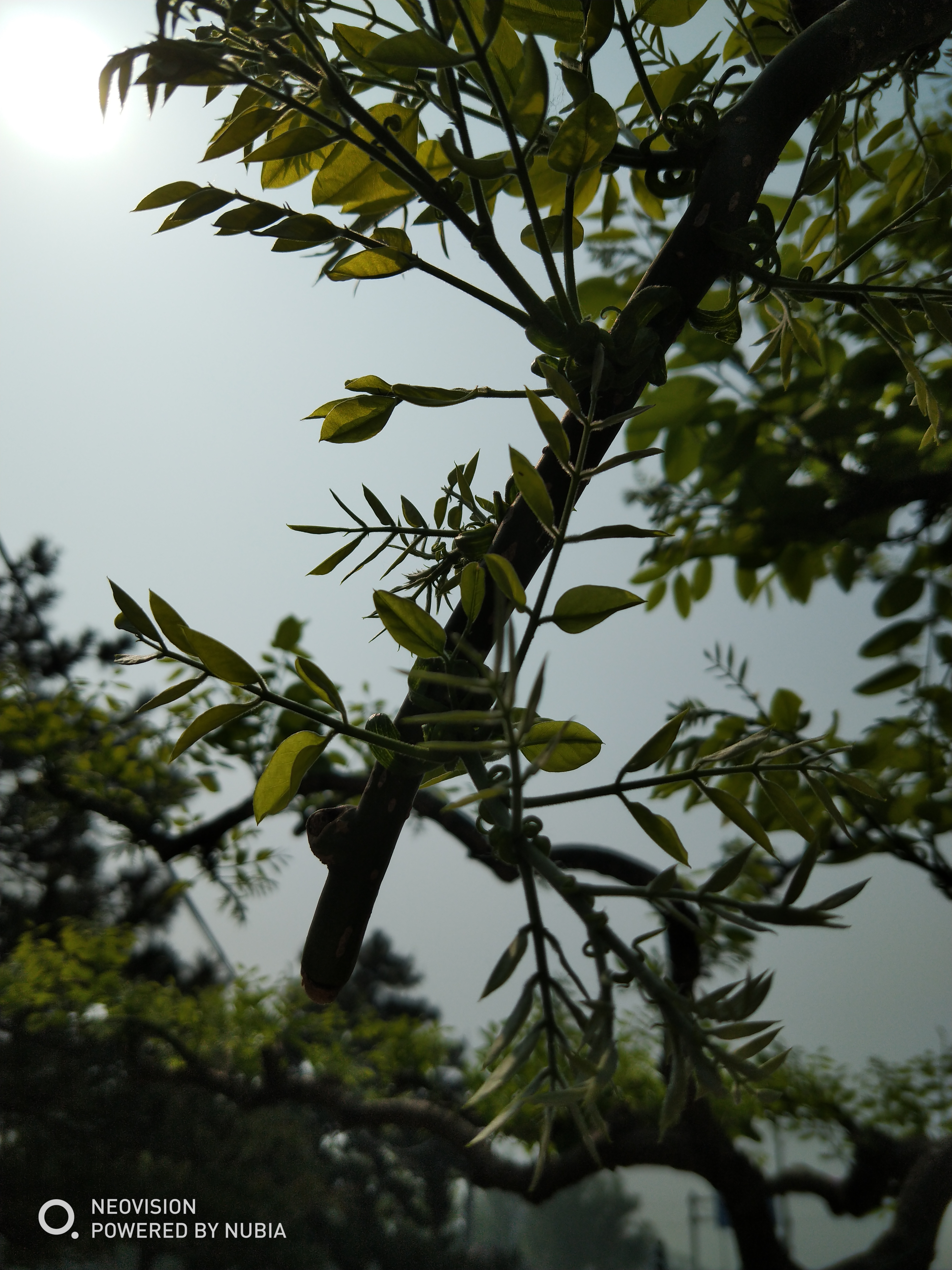 努比亚红魔电竞游戏手机评测 给它打满分一点