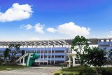 华为供应商兴森科技五大问题“缠身”,国资解救或成...