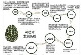 半定制化的FPGA芯片和全定制化的ASIC芯片
