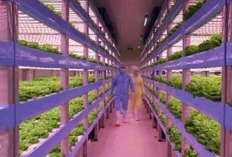 京东植物工厂落户北京通州 占地总面积达1万多平米