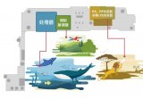 带你走进手机的集成电路世界