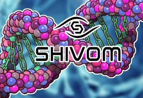 区块链基因组数据shivom生态系统介绍
