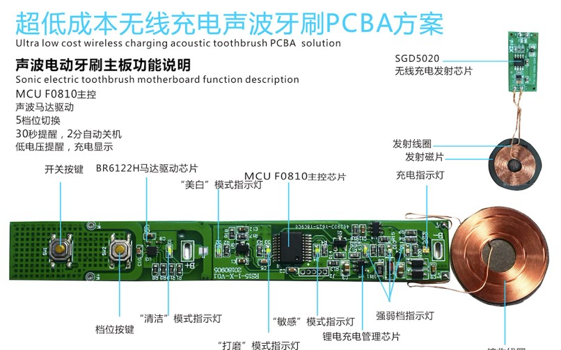 146次                       阅读     电动牙刷大揭秘(工作原理