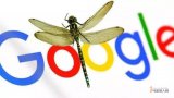 谷歌“实际上已经终止”开发中国版搜索引擎的“蜻蜓...