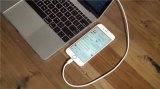 苹果iOS 12.1.2无法使用数据网络连接网络...