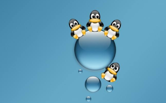 Linux操作系统之奥秘PDF中文版教材免费下载