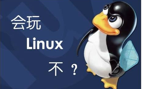 Linux教程之Linux命令详解词典PDF中文版免费下载