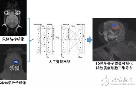 光學分子影像的出現(xiàn) 讓醫(yī)生能更容易捕捉到腫瘤“惡魔”