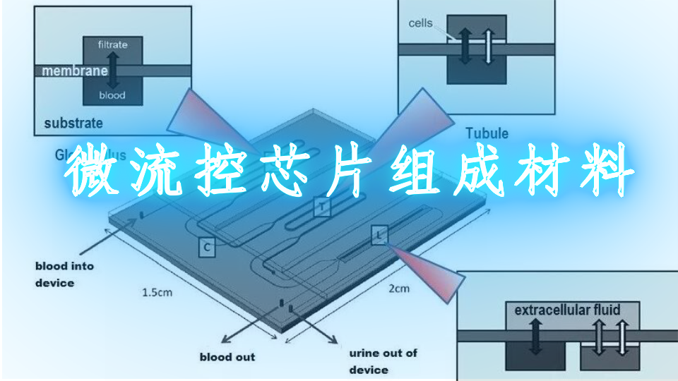 微流控芯片组成材料