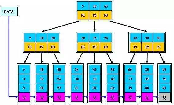 数据结构