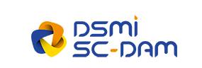 DSMI