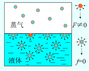 极片