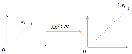 降维