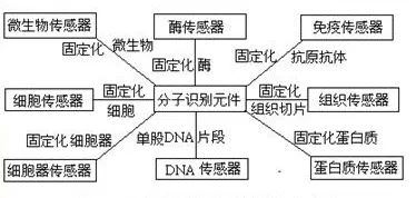 传感器