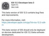 苹果向开发人员推送iOS12.3beta3更新 ...