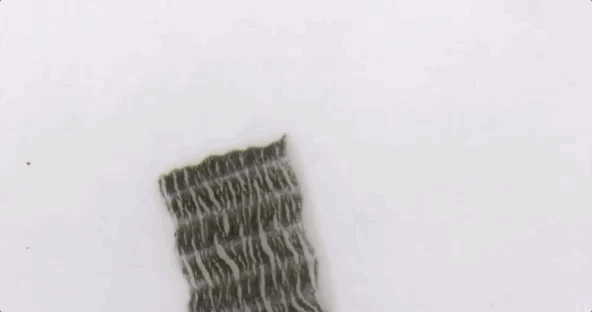 3d打印20分钟打造毫米级微型机器人