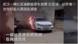 事故频发,特斯拉和蔚来后,比亚迪也自燃了......