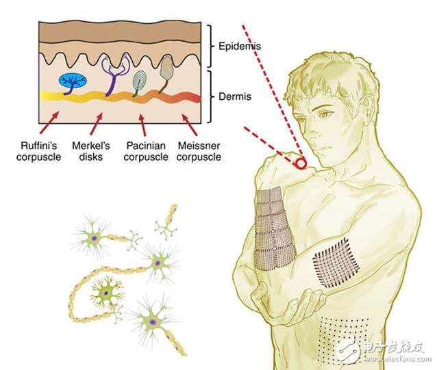 电子皮肤的应用_电子皮肤未来