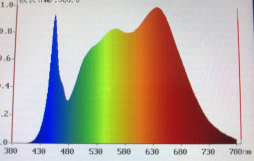 关于LED灯对眼睛的伤害