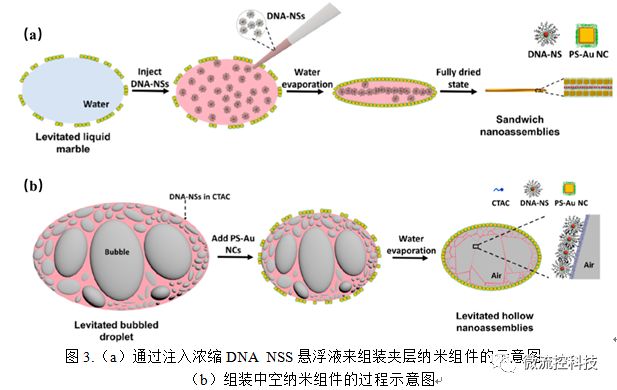 声悬浮液滴表面的纳米颗粒自组装