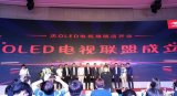 OLED推广风暴席卷全中国 OLED势不可挡