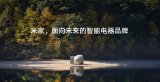 米家要做未来智能电器的领军品牌 加快智能家居走进...