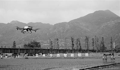 5G智慧农业上线 机器人巡田无人机喷洒