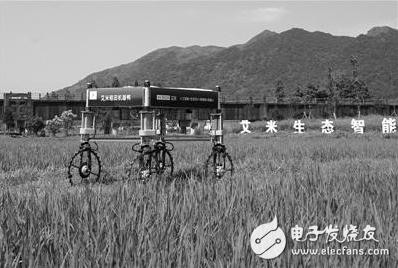 5G智慧农业上线 机器人巡田无人机喷洒