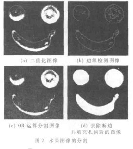 利用Matlab软件和BP神经网络快速识别水果实现分拣