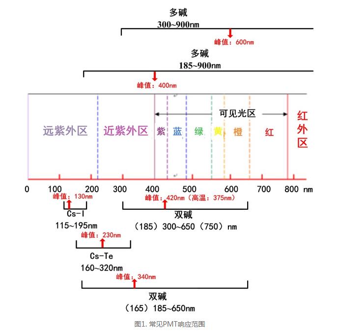 如何选择你需要的光电倍增管