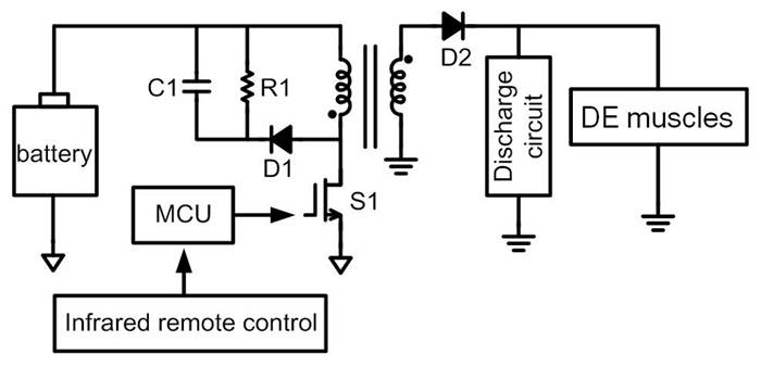 关于蝠鲼仿生柔软机器鱼制作过程分析解读