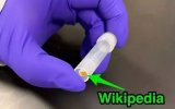 將數據存儲到身體?下一代的存儲容器也許會是DNA...